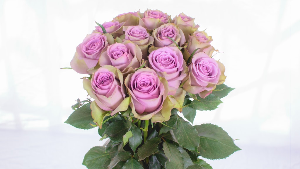 Samantha Bridal – Bloomingdale Roses (K ...